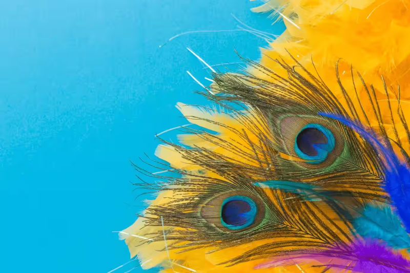 Brazilian Carnival costumes